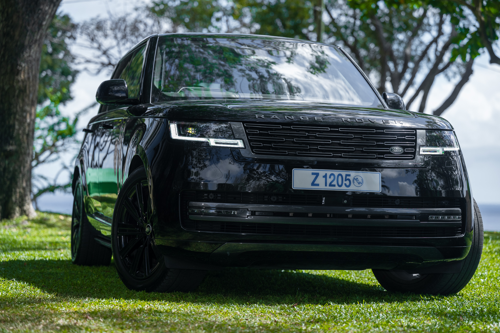 DSC_8984-Edit